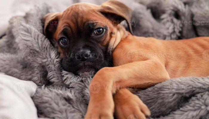 1839A013-F5DE-467B-B2F1-493938598E81