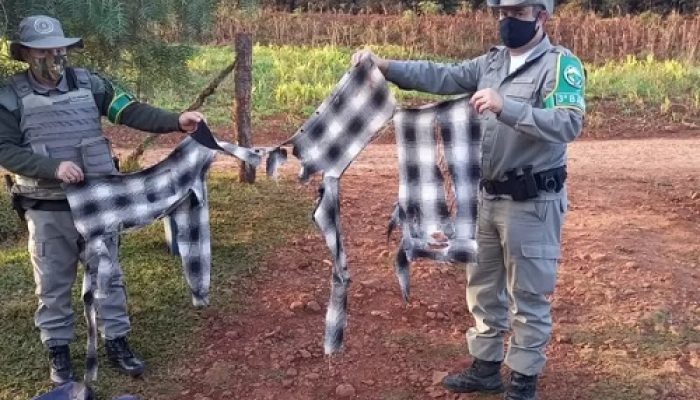 1_whatsapp_image_2021_05_20_at_09_13_19-19636240