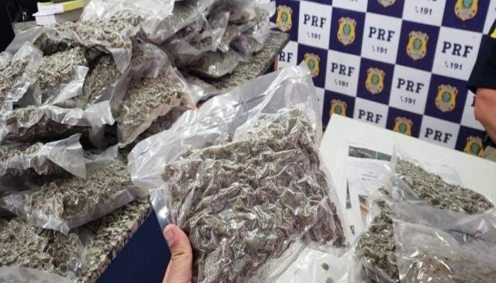 1c5b75856b127ab534e33b72e8ca6537