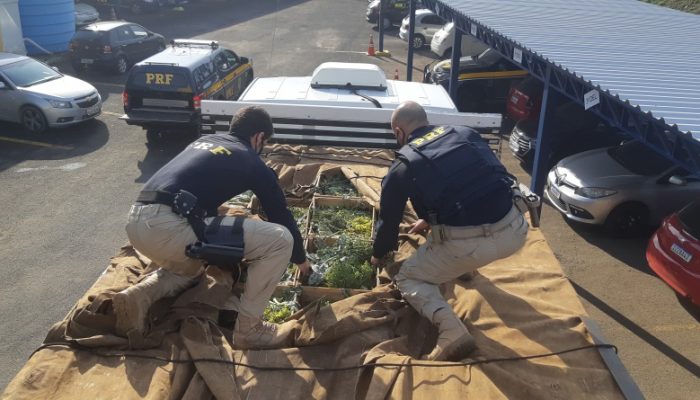 Foto: PRF/Divulgação