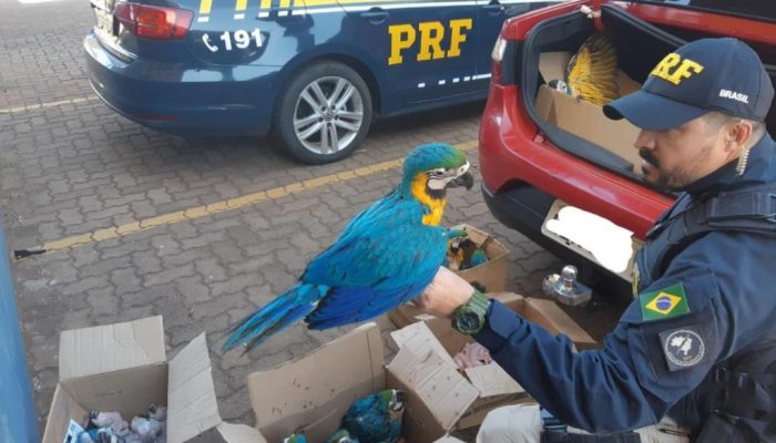 20200814153356_77sO7t23wr