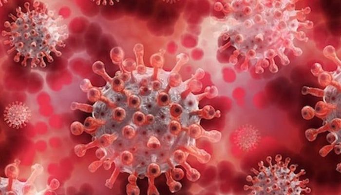 20210127030142GMOOPnUkTi-1000x450