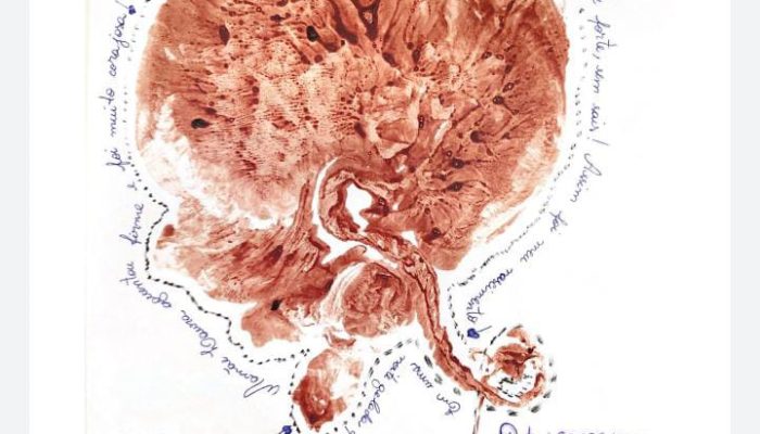 Foto: Hospital Notre Dame São Sebastião/Divulgação