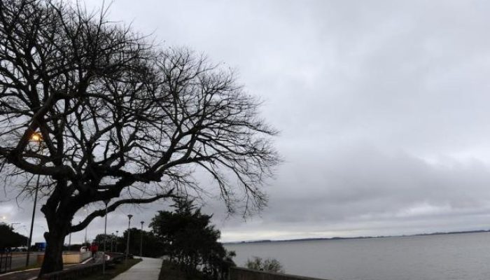 Foto: Ronaldo Bernardi / Agencia RBS