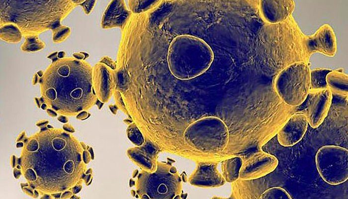 Cientistas trabalham com a possibilidade de o coronavírus atacar o tecido interno vascular do pênis
AFP / US Food and Drug Administration