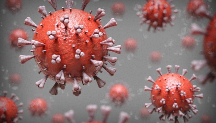 De acordo com o estudo, pessoas que pegam o coronavírus de forma branda podem se reinfectar
Jonatan Sarmento / Arte GZH