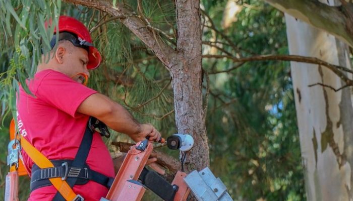 272327118_653884649386522_8055047217836763975_n