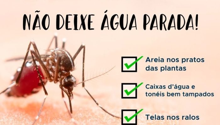 Imagem: Divulgação