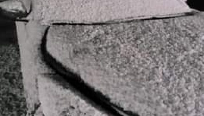 281794936_409759327825872_7652619769677525345_n