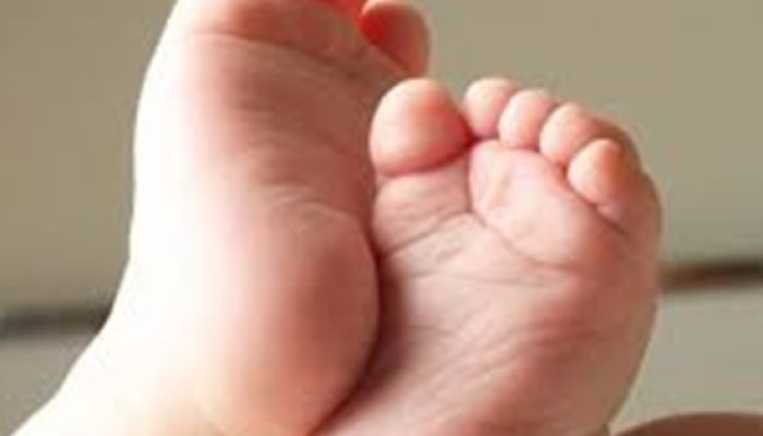 285195544-4955239007937319-7633399157822607720-n