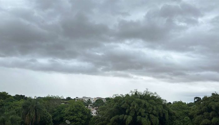 28EB0D20-58C5-4BE8-AD49-E373FA0D8E5C