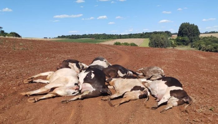 290790597d3f3836c5b84ab2a8cbd500