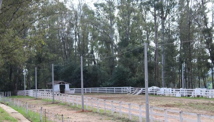 295283841_416308553861464_889703349643196234_n