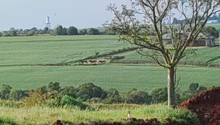 2a02d007-f70f-48ab-8a6c-01ded3161768