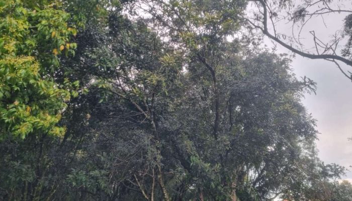 2a54ed85-dd92-4f67-9ede-f4c51749237f