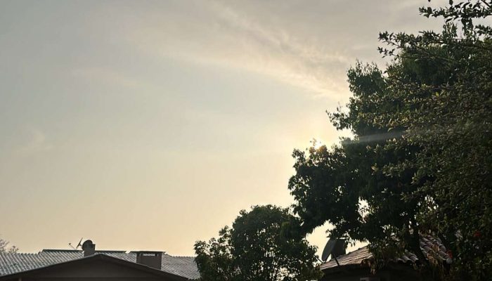 2b9b09c9-383d-447c-b554-54d2afc1e6c9