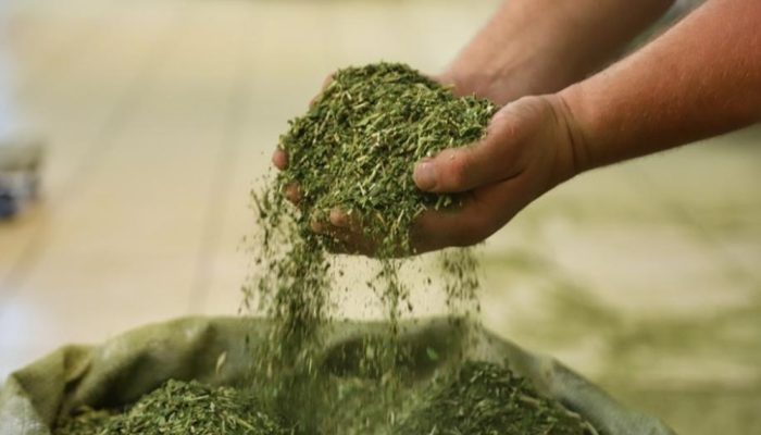 2ec9498053b6bb52e2d98951c77d24a7