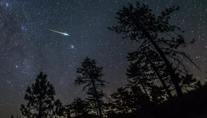 Foto: Getty Images (Kevin Key / Slworking)