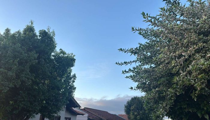 303C62DC-0B7F-4C45-8242-CCEBF597BEBF