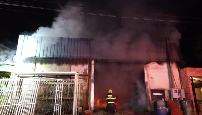 30432128-7d60-4e51-8b71-632fe4db47e4-1024x768