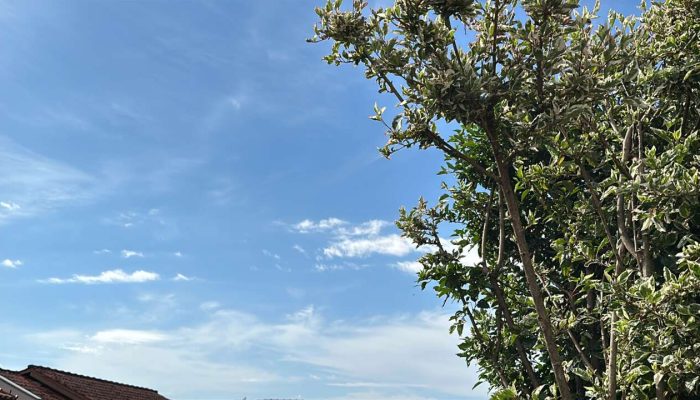 312D95BB-D349-4599-9440-11939F054859