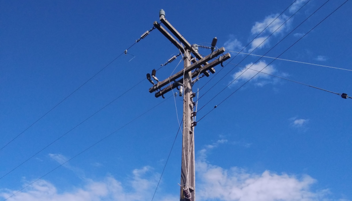 315d8481-e267-4eed-8353-d5ddd5a50d6a_Zoom