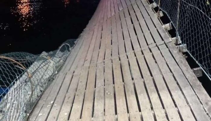 32E838CC-FF92-4B9C-8F1B-E0AAD7CCB76E