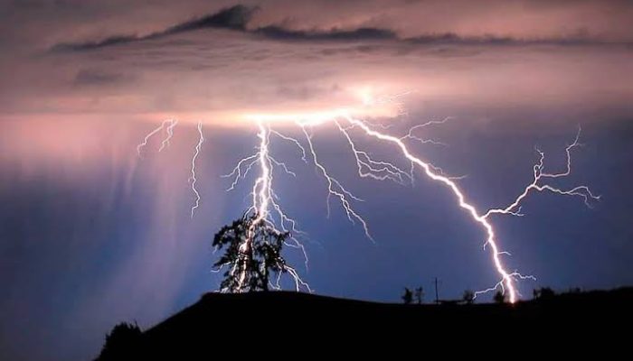 3340B969-E8F0-4EAF-B685-B5E6F7291E99