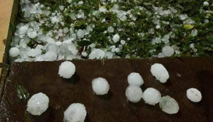 Flávio Comunello / Arquivo Pessoal