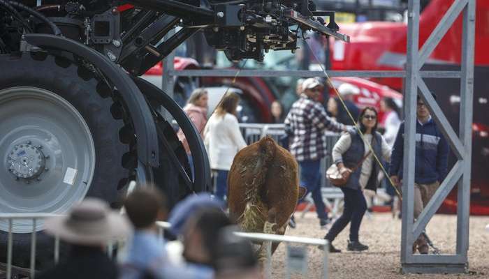 Foto: Jefferson Botega / Agencia RBS