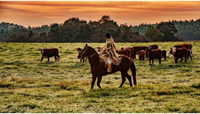 387f20fab58e8b0aa622899cc5c33d27