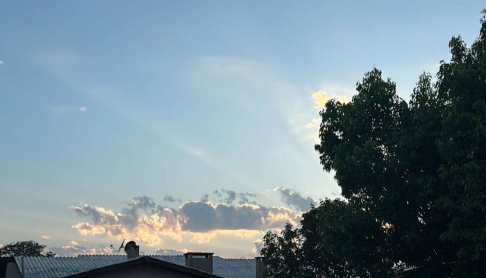 38F54519-0E1A-41EF-93B0-BDEA667B90F6