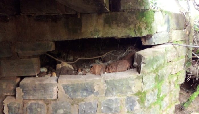 398951899_724486459710337_651594624009555747_n 398951899_724486459710337_651594624009555747_n