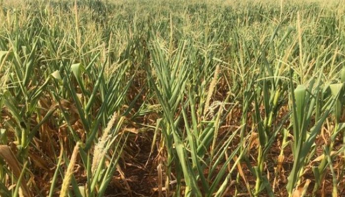 3A3D5236-2F5B-48FD-ABD4-47781490047F