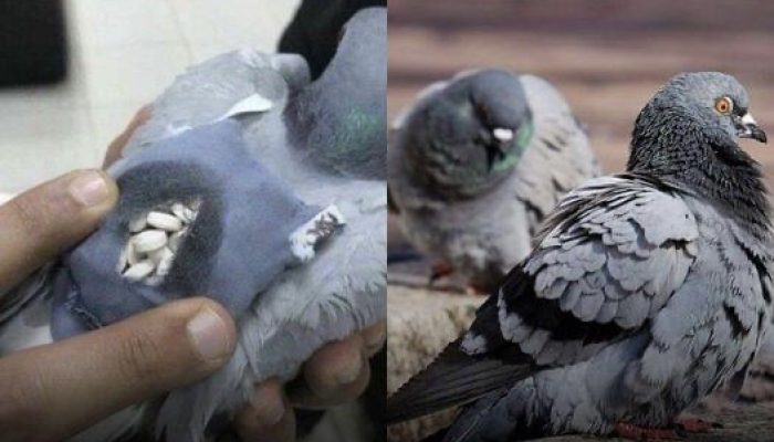 3D557F2E-55D5-49C9-9535-148BB45B60D6