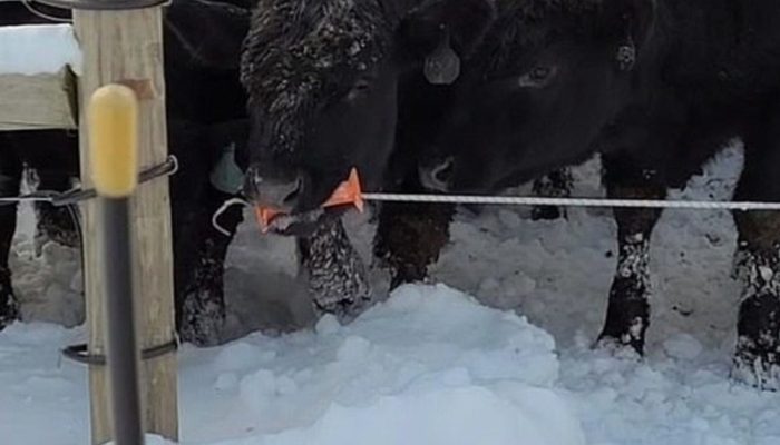 3b51829907a0b086f500d1ebf7ef62b3