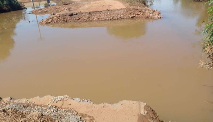 402937104_732082095617440_3086477755737276142_n