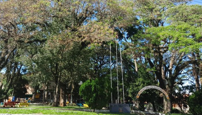 404549299_363993429341683_2318266493248853536_n