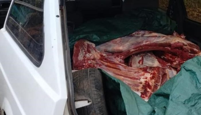 405965312_773557884788026_1751031581294975643_n