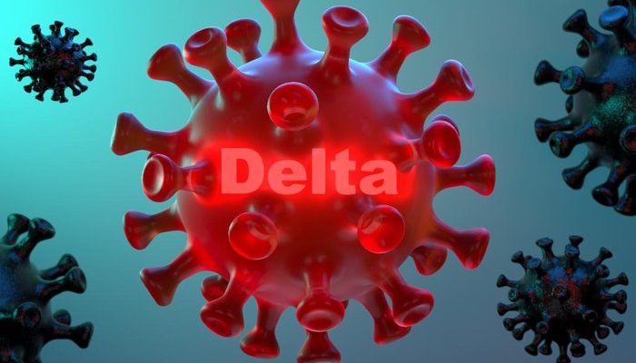 Imagem: Dimitris_Barletis / stock.adobe.com