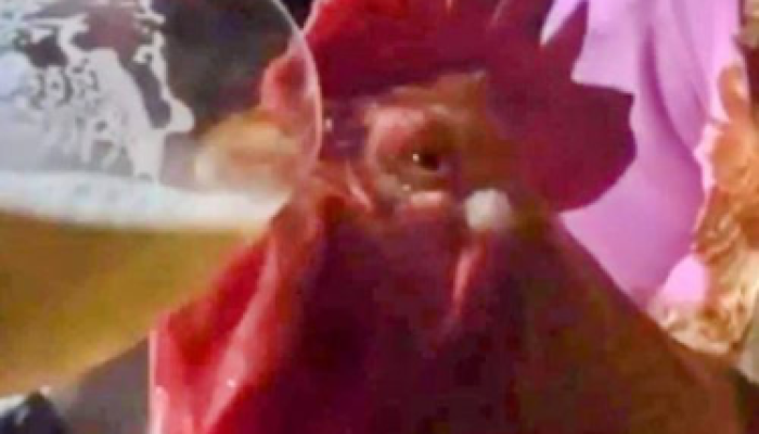 461CDD83-F0C6-4F75-9A3C-A4930DB52C3E