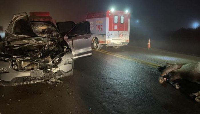 462733733_988760919934387_3882121558661178636_n