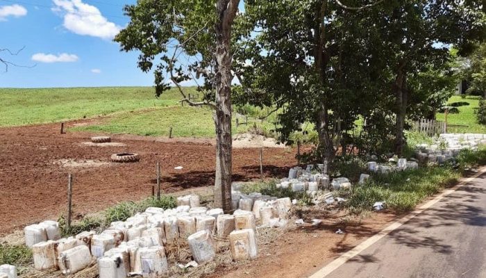 470195787_1392495352164274_6353717919804468514_n