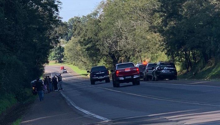 4780883_102434ee245b3e0