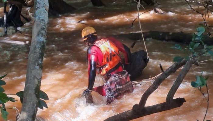 4866581_4295e8496f0278d