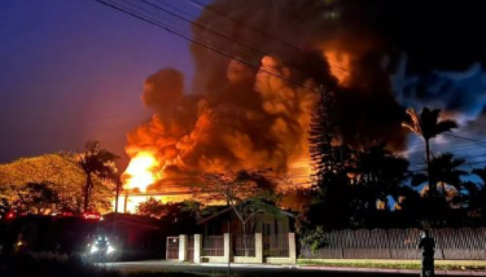 499108E3-9B25-409C-82B0-C606DA5348F7