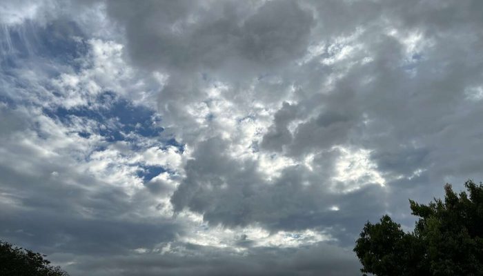 4EBD1F2E-1FFF-43FD-9C2F-F71F29A12576