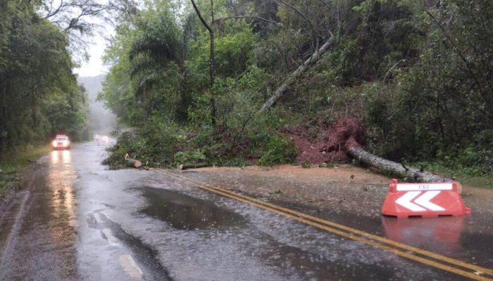 4d4708eb-f3a5-44c6-879c-2bf003efe17e-scaled