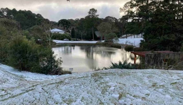 502550774_1533864294694045_6661232480016716446_n