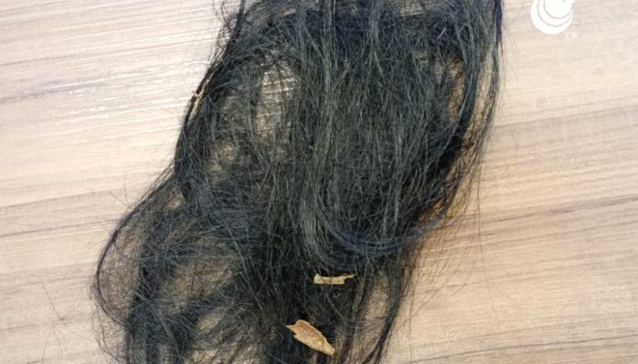 514420167_1070231941966805_7331714571039346796_n